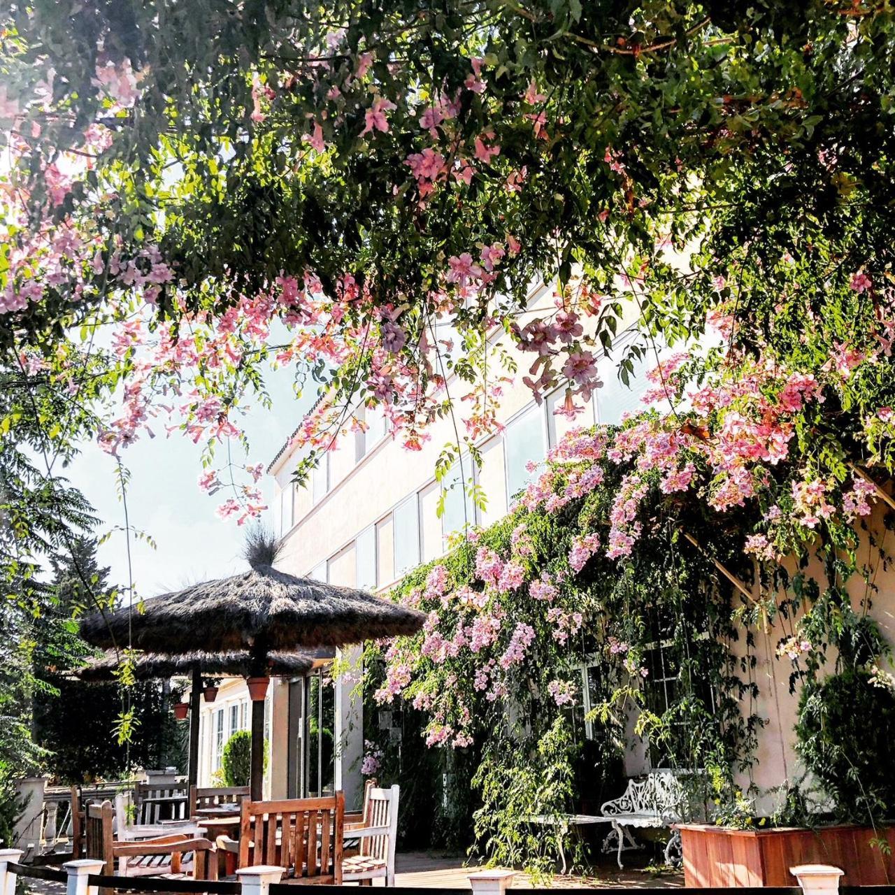Hotel & Restaurant Figueres Parc Els Hostalets  Екстер'єр фото
